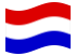 Hessen-Nassau (preussisk provins)-Flagga som vajar