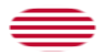 Sons of Liberty (USA ca 1765, 13 fält)-Flagga som oval vinjett