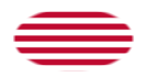 Sons of Liberty (USA ca 1765, 13 fält)-Flagga som oval vinjett