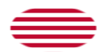 Sons of Liberty (USA ca 1765, 13 fält)-Flagga som oval vinjett