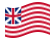 Grand Union (USA 1775-1777)-Flagga som vajar