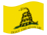 Gadsden (USA ca 1775)-Flagga som vajar