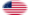Great Star (USA 1818-1819)-Flagga som oval vinjett