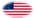 Great Star (USA 1818-1819)-Flagga som oval vinjett
