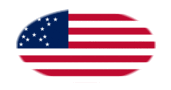 Great Star (USA 1818-1819)-Flagga som oval vinjett