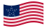 Great Star (USA 1818-1819)-Flagga som vajar