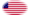 Star-Spangled Banner (USA 1795-1818)-Flagga som oval vinjett