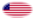 Star-Spangled Banner (USA 1795-1818)-Flagga som oval vinjett