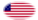 Star-Spangled Banner (USA 1795-1818)-Flagga som oval vinjett
