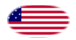 Star-Spangled Banner (USA 1795-1818)-Flagga som oval vinjett