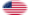 Fort Sumter (USA 1861)-Flagga som oval vinjett