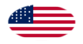 Fort Sumter (USA 1861)-Flagga som oval vinjett