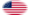USA 37 stjärnor (1867-1877)-Flagga som oval vinjett