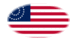 USA 37 stjärnor (1867-1877)-Flagga som oval vinjett