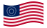 USA 37 stjärnor (1867-1877)-Flagga som vajar