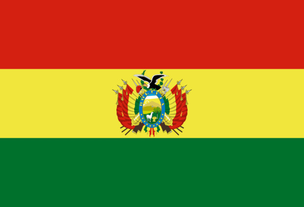 Flagga Bolivia, Flagga Bolivia