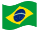 Animerad flagga Brasilien