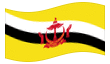 Animerad flagga Brunei Darussalam