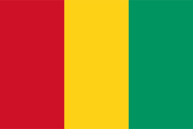 Flagga Guinea, Flagga Guinea