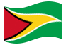 Animerad flagga Guyana