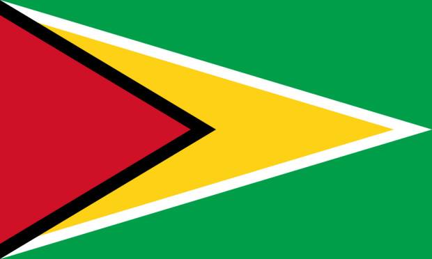 Flagga Guyana, Flagga Guyana