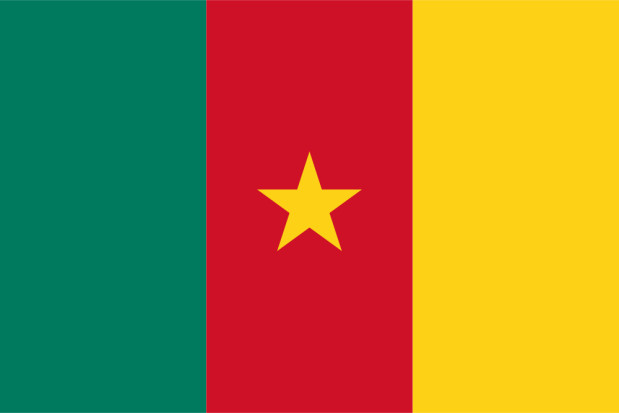 Flagga Kamerun