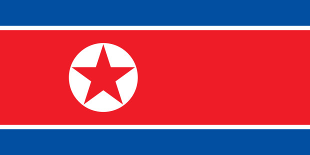 Flagga Nordkorea, Flagga Nordkorea