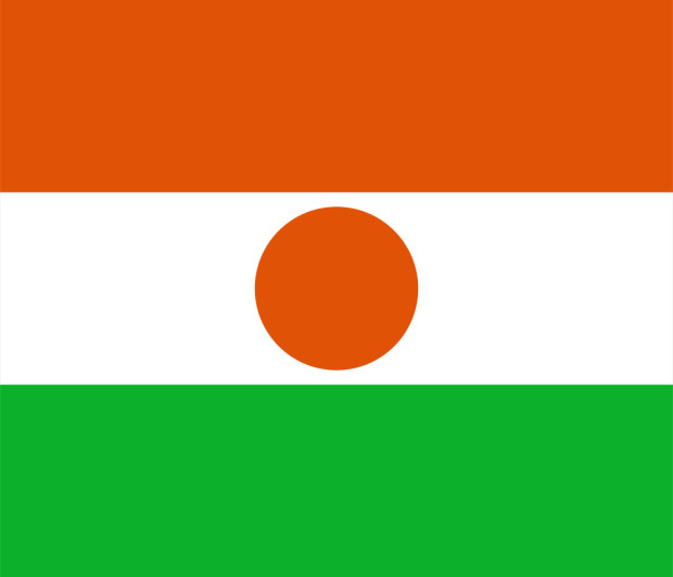 Flagga Niger, Flagga Niger