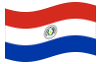 Animerad flagga Paraguay