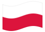 Animerad flagga Polen