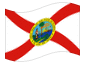 Animerad flagga Florida