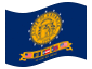 Animerad flagga Georgien