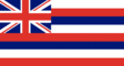 Flagg grafik Hawaii