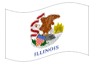 Animerad flagga Illinois