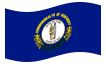 Animerad flagga Kentucky