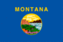 Flagg grafik Montana