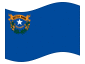 Animerad flagga Nevada