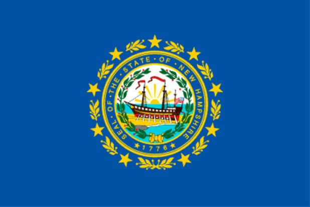 Flagga New Hampshire