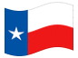 Animerad flagga Texas