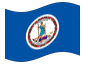 Animerad flagga Virginia