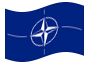 Animerad flagga Nato (Nordatlantiska fördragsorganisationen)