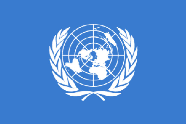 Flagga Förenta nationerna (FN)