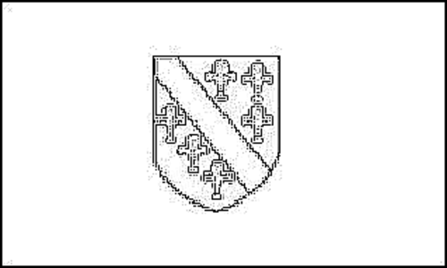 Kontur av flaggan för Bosnien och Hercegovina (1992) att färglägga