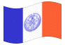 Animerad flagga New York City