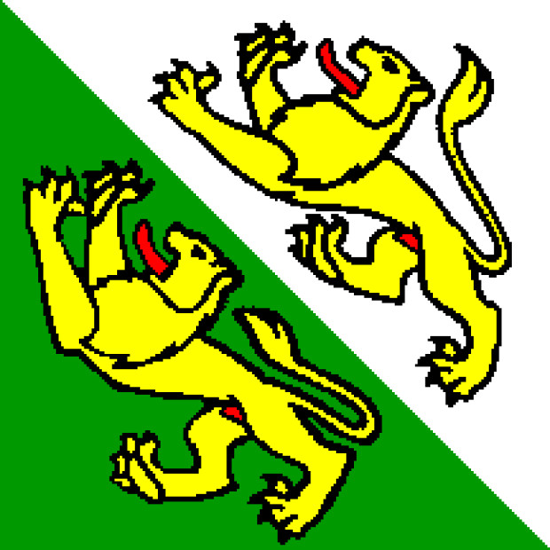 Flagga Thurgau, Flagga Thurgau