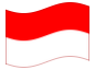 Animerad flagga Salzburg (provins)
