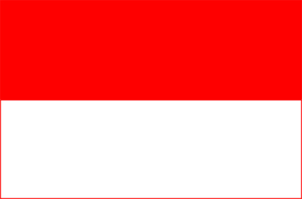 Flagga Salzburg (provins), Flagga Salzburg (provins)