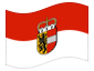 Animerad flagga Salzburg (tjänsteflagga)