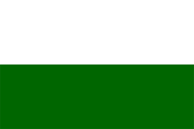 Flagga Steiermark, Flagga Steiermark