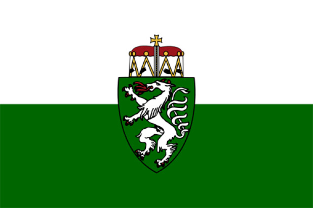 Flagga Steiermark (tjänsteflagga)